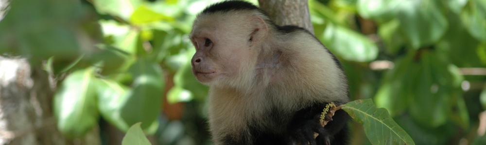 La Península de Nicoya