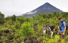 Parc National du volcan Arenal & sources d'eau chaude