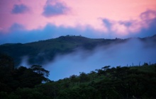 La forêt de nuage de Monteverde