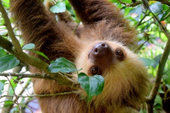 Le Costa Rica, des Caraïbes au Pacifique